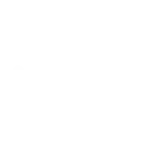 Suzuki-Logo.wine copy